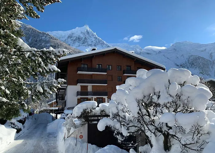 Apartman Avec Balcon, Parking Et Animaux Acceptes A - Fr-1-343-245 Chamonix